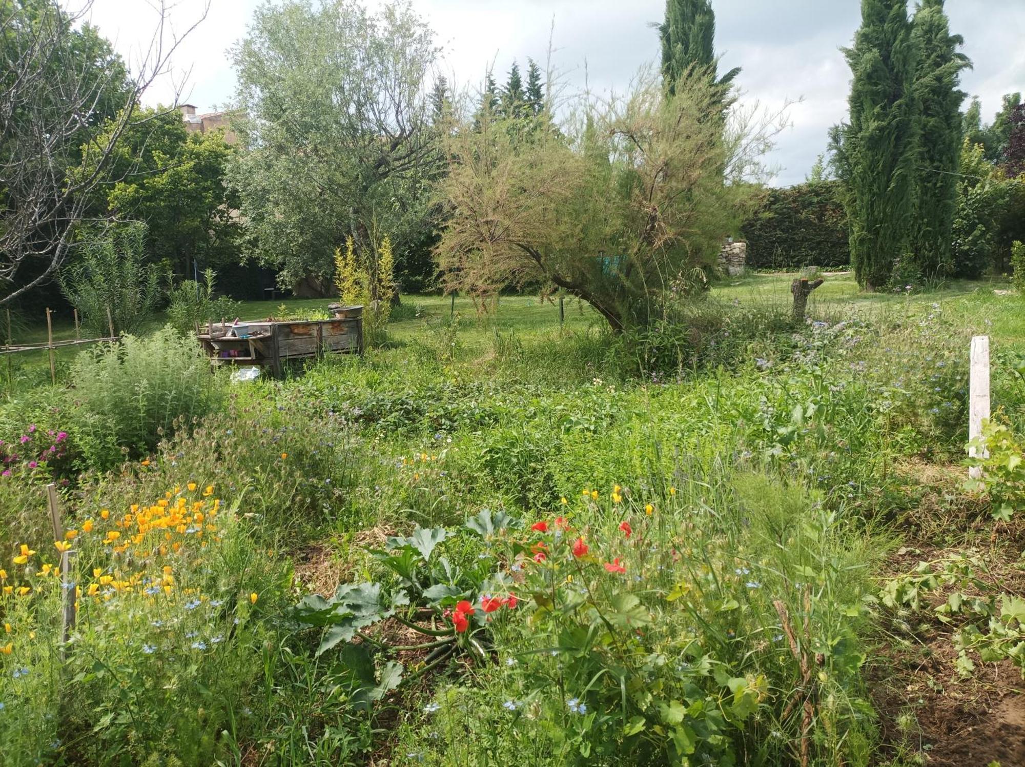 Bed and Breakfast Campagne De Pre Grand Saint-Étienne-les-Orgues Exterior foto